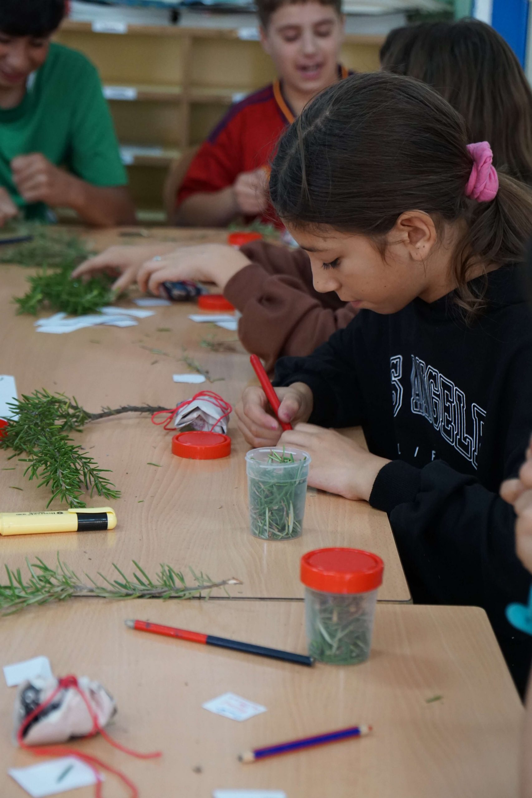 Somos Aldea educativa. Servicios de gestión socioeducativa para Centros Educativos y Ayuntamientos.