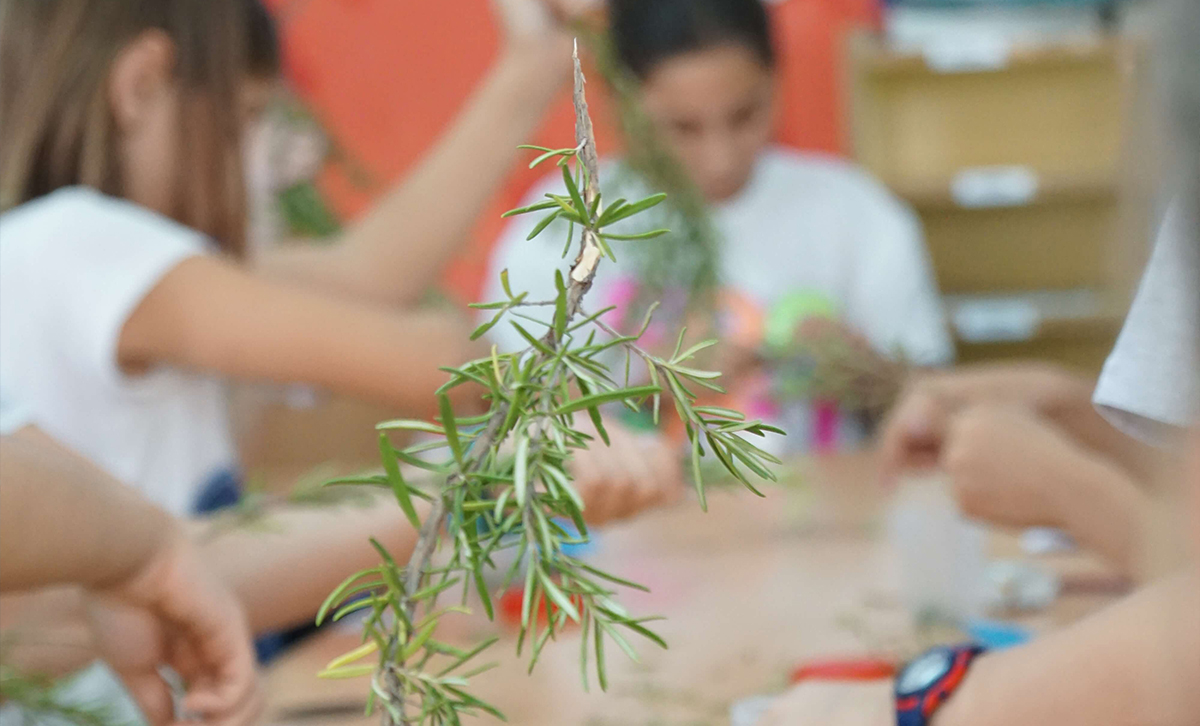 Somos Aldea educativa. Servicios de gestión socioeducativa para Centros Educativos y Ayuntamientos.