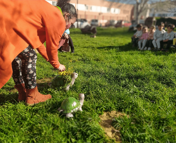 Somos Aldea educativa. Servicios de gestión socioeducativa para Centros Educativos y Ayuntamientos.