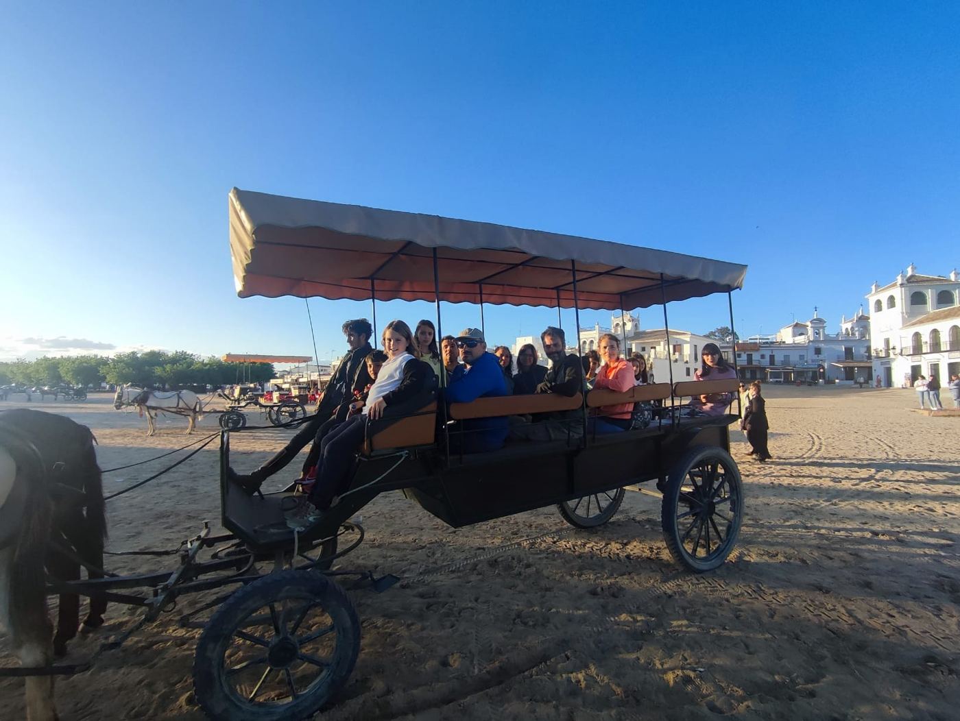 A horse-drawn carriage in the sand streets of El Rocio
