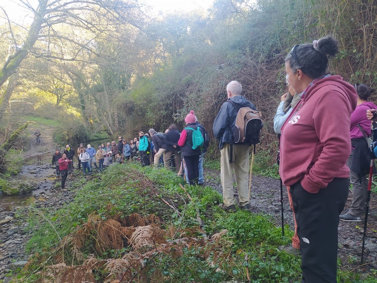 A group of adults walking a path beside a stream in the sierra
